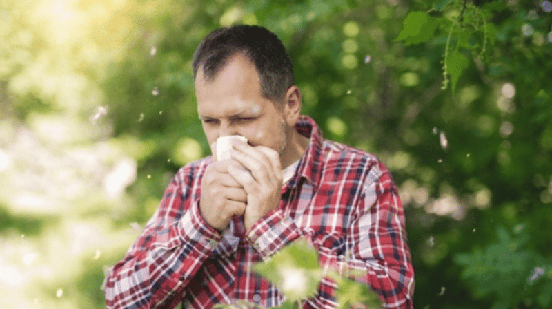 A Man with Hay Fever