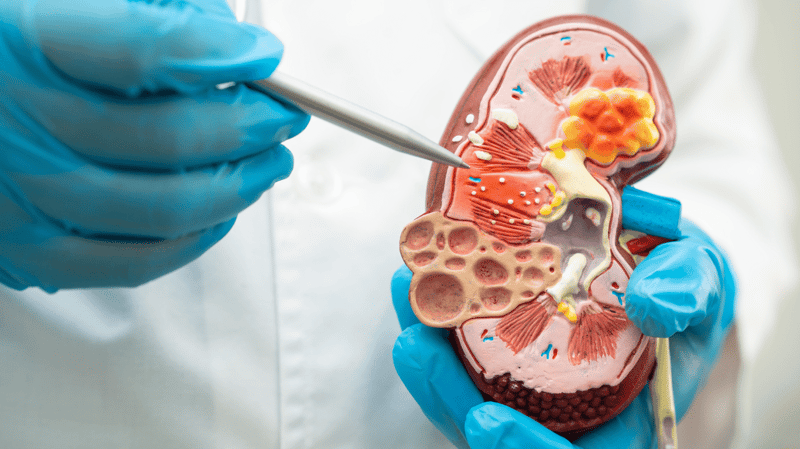 Pneumococcal diseases